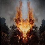 Ausstellung "Hello Nature" im Germanischen Nationalmuseum Nürnberg