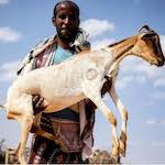 Farhan Mohamed Ali mit einer seiner Ziegen. Foto: Diakonie Katastrophenhilfe